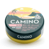 Camino Delta 9 Bliss Gummies – Watermelon Lemonade