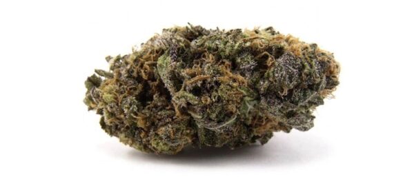 Purple Haze Cannabis Strain