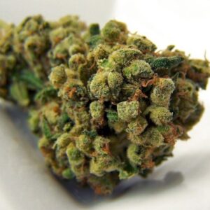Super Sour Diesel Marijuana Strain